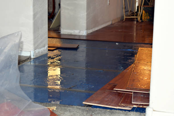 Professional Water Damage Restoration technician working in Mendota, IL